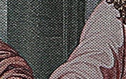 تصویر پارچه سوزنی ( نبافت ) چاپ ( اکوسالونت و افست )